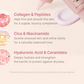 🌸 Crema solare al collagene 🌸 | Protezione solare viso ad ampio spettro SPF 50 | Formula leggera, non grassa, idratante | Nessuna patina bianca o residui | Peptidi e cica per lenire e ottenere una luminosità naturale