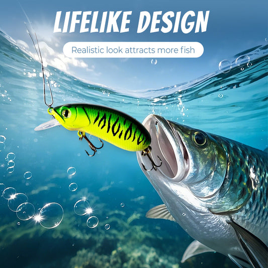 Esche da Pesca Bioniche Realistiche per Alte Percentuali di Cattura