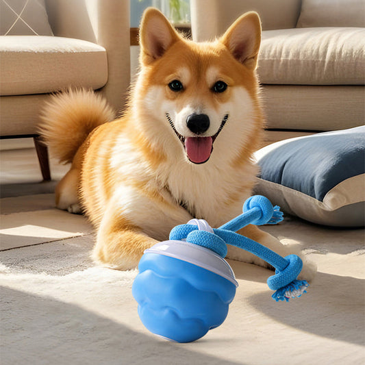 🐾 50% DI SCONTO ORA! 🎾 Palla Giocattolo Elettronica Interattiva per Animali – Movimento Automatico, Resistente ai Morsi & Calmante per Gatti/Can 🐱🐶📦