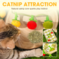 🐱 ACQUISTA 1 OTTIENI 1 GRATIS! 🎉 Giocattolo Interattivo per Gatti – A Forma di Frutta, Movimento del Cordoncino & Nepeta Eccitante 📦