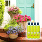 🌿【Nutriente Vegetale Multiuso per Interni ed Esterni】— Una bottiglia in mano, il mondo è tuo!🌱🏡✨