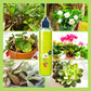 🌿【Nutriente Vegetale Multiuso per Interni ed Esterni】— Una bottiglia in mano, il mondo è tuo!🌱🏡✨