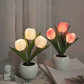 🌷Lampada da Tavolo a Tulipano LED