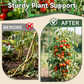 🌿 50% DI SCONTO! 🪴 Gabbia Modulare Regolabile per Piante – Supporto per Rampicanti, Design Fai-da-Te & Materiale Resistent agli UV ⛏️