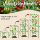 🌿 50% DI SCONTO! 🪴 Gabbia Modulare Regolabile per Piante – Supporto per Rampicanti, Design Fai-da-Te & Materiale Resistent agli UV ⛏️