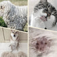 Spazzola doppio lato per la toelettatura degli animali domestici