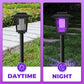 🌿 Lampada Antizanzare Solare da Giardino [Senza Chimica] 🚫🦟 | ⏰ Accensione Automatica Crepuscolare | 💡 Doppia Luce: Trappola UV + Illuminazione | 🏕️ Design Portatile per Esterni