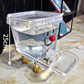 🐾✨ Distributore d’Acqua per Animali ad Alta Capacità – 3L & 5L, Sistema a Gravità Senza Elettricità, Serbatoio Trasparente, Facile da Pulire 💧🐶🐱